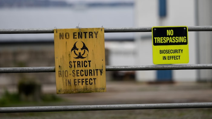 Un bâtiment de ferme apparaît flou derrière une clôture de métal à laquelle on a accroché une pancarte jaune où est dessiné le symbole international du danger biologique qui accompagne le message «Entrée interdite, biosécurité stricte».
