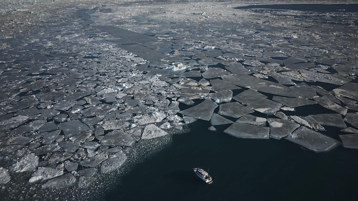 Un bateau fait face à des centaines de plaques de glace.