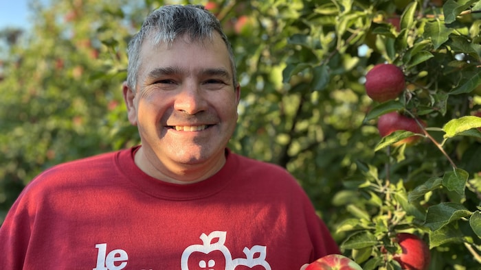 « Les fruits sont très gros cette année » : la saison des pommes est ...