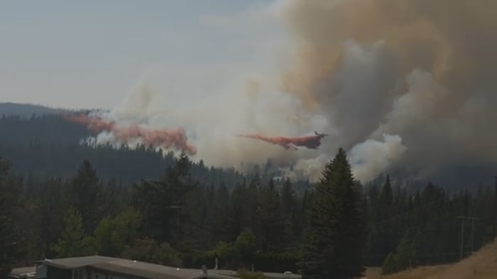 Des avions sont vus entrain de larguer du produit retardateur au-dessus de la forêt enfumée.