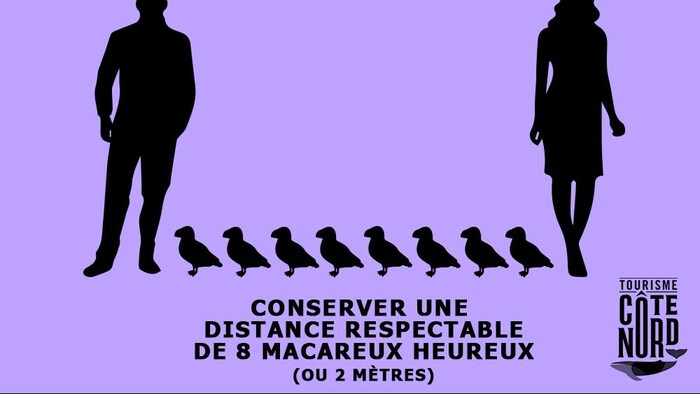 Huit macareux entre deux personnes.