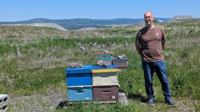 Un homme à côté de ruches.