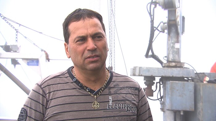 Vers un élevage de pétoncles géants en Minganie | Radio-Canada