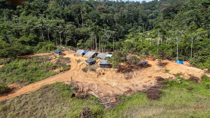 Vue sur un camp en pleine forêt amazonienne.