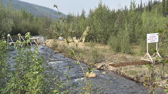 Un mini-barrage qui laisse couler l'eau d'un ruisseau.
