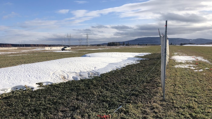Une clôture de bois dans un champ au printemps.