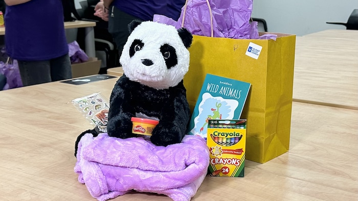 Un panda en peluche avec des crayons et des livres à colorier.