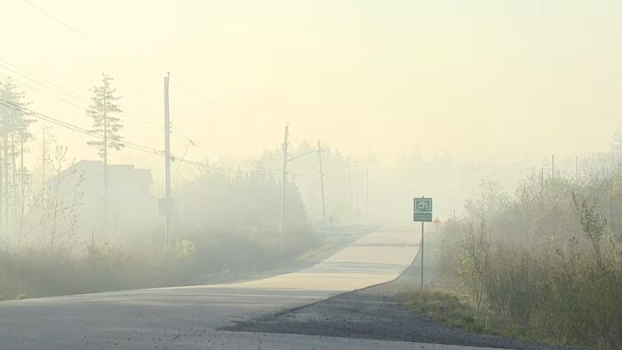 De la fumée qui recouvre une route rurale.