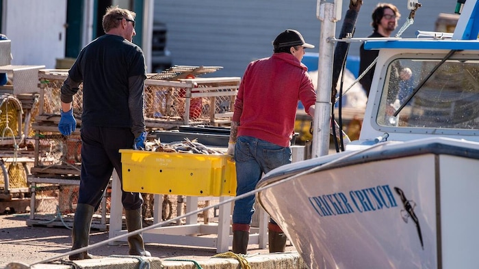 Deux hommes près d'un bateau de pêche transporte un contenant rempli de harengs.