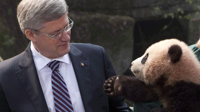 2012年2月，前加拿大总理哈珀（Stephen Harper）访问中国时，到访重庆动物园，与大熊猫合影，