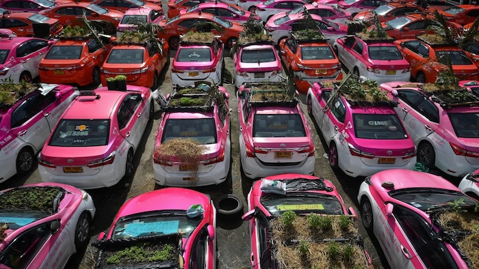 Miniature gardens are seen on the roofs of unused taxis.
