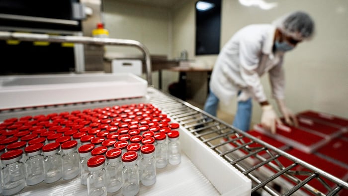 Des fioles de vaccin dans un bac.