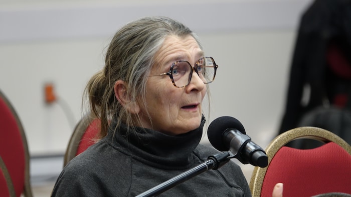 Hélène Chevrier au micro lors d'une séance d'information du BAPE.