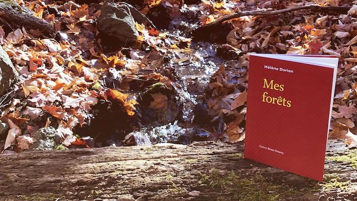 Le livre à la couverture rouge est debout sur un tronc d'arbre. En arrière-plan, on aperçoit l'eau d'un petit ruisseau et des feuilles brunies par l'automne.