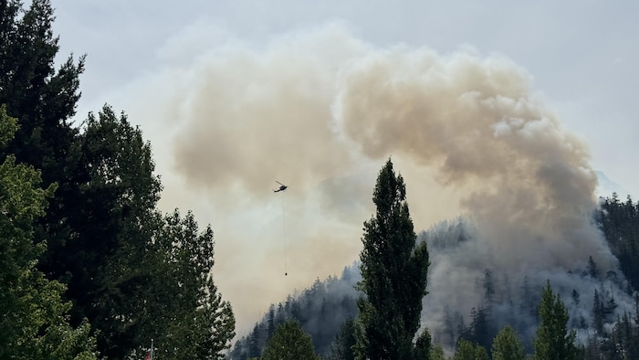 Un hélicoptère approche du panache de fumée au-dessus de la colline.