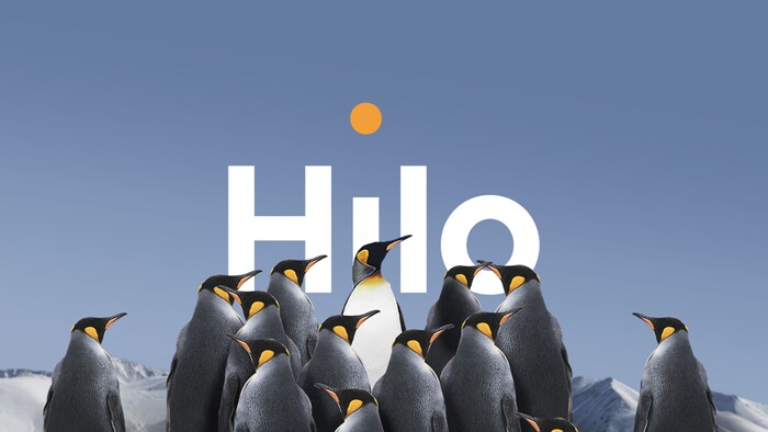Hilo fait l'objet d'une importante campagne publicitaire ces dernières semaines.