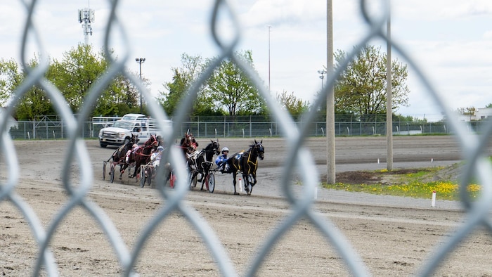 Une course de chevaux à l'Hippodrome de Trois-Rivières.
