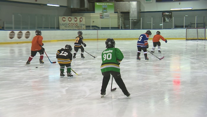 Ballon de ballon sur glace - Distribution Sports Loisirs