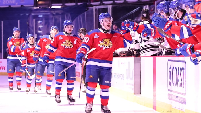 Des joueurs des Wildcats défilent devant leur banc; leurs coéquipiers les félicitent. 