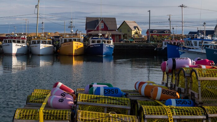 Des cages à homard et des bateaux à quai dans la lumière du soleil levant aux Iles-de-la-Madeleine.