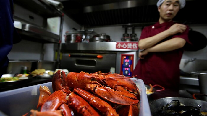 Des homards rouges dans un bac, dans la cuisine d'un restaurant, devant un chef cuisinier à l'arrière-plan.