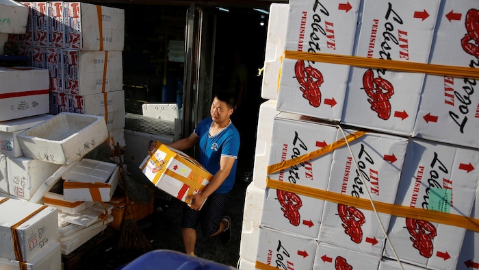 Un homme tenant une boîte de carton passe entre plusieurs colonnes de boîtes blanches empilées, décorées d'un dessin de homard.