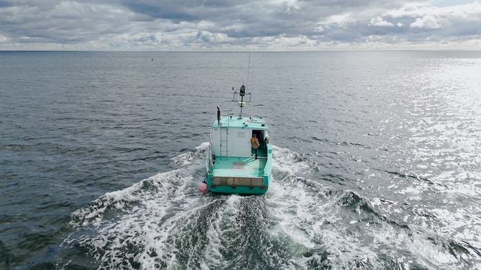 Un homardier navigue dans la baie de Liverpool, en Nouvelle-Écosse