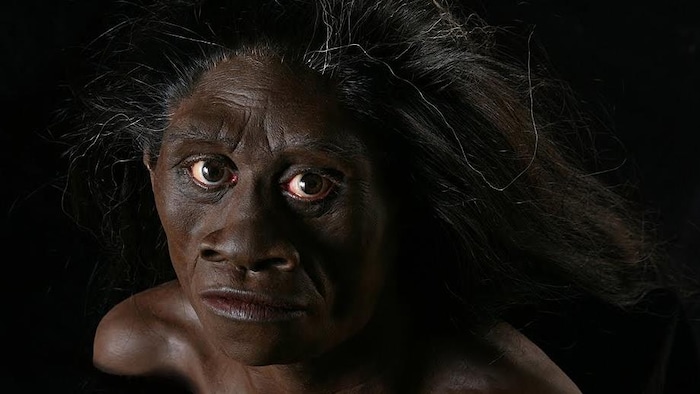 Reconstitution de l'apparence d'« Homo floresiensis ».