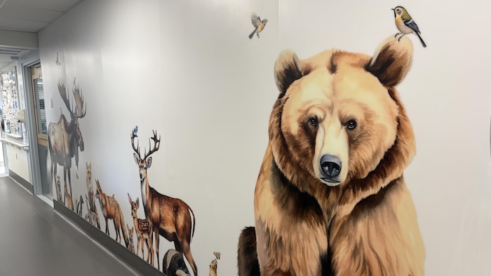 Une murale qui montre un ours avec d'autres animaux sur un mur dans le couloir de l'aide pédiatrique de l'Hôtel-Dieu d'Arthabaska. 
