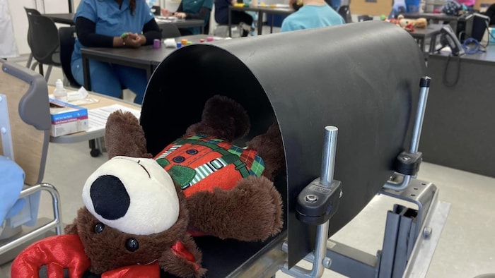 Un ourson dans un tube. En arrière plan, des étudiantes en soins infirmiers.