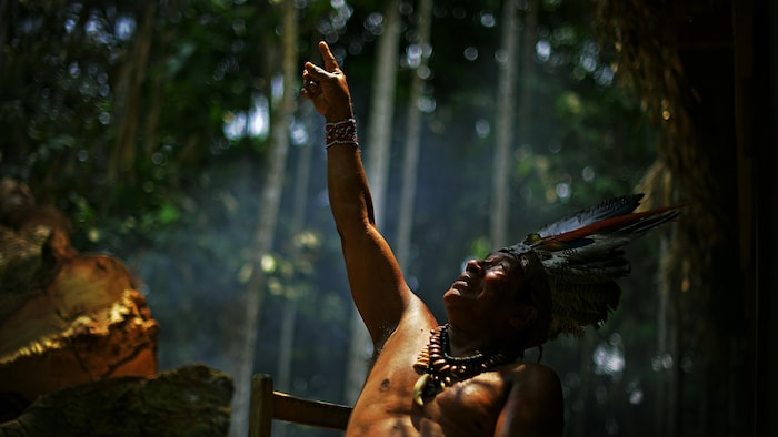 Le chef Apurina, entouré d'arbres, pointe vers le ciel.