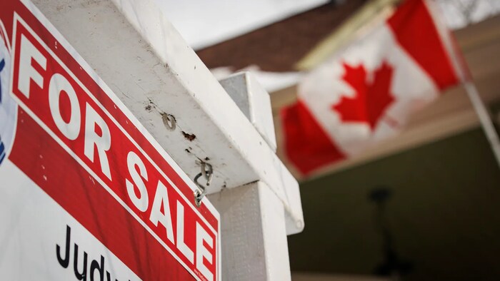 The federal government's new rules ban most non-Canadians from purchasing homes for the next two years.