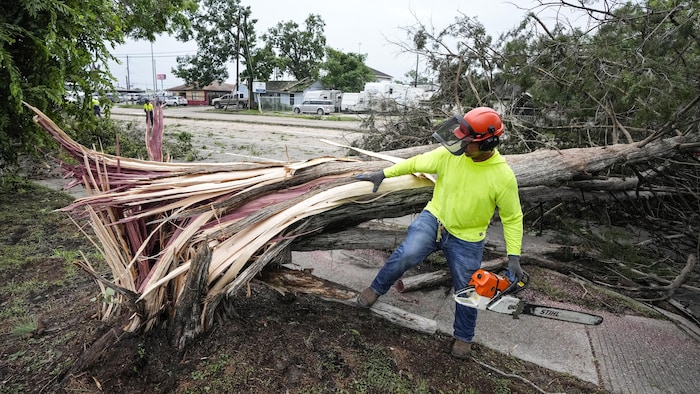 Un homme travaille à l'abattage d'un arbre qui s'est renversé à la suite d'une violente tempête.