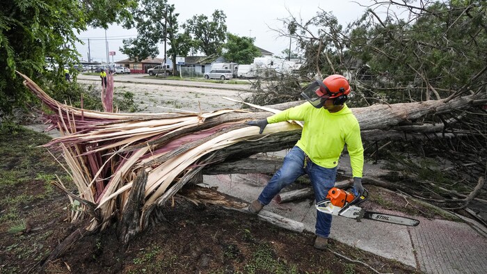 Un homme travaille à l'abattage d'un arbre qui s'est renversé à la suite d'une violente tempête.