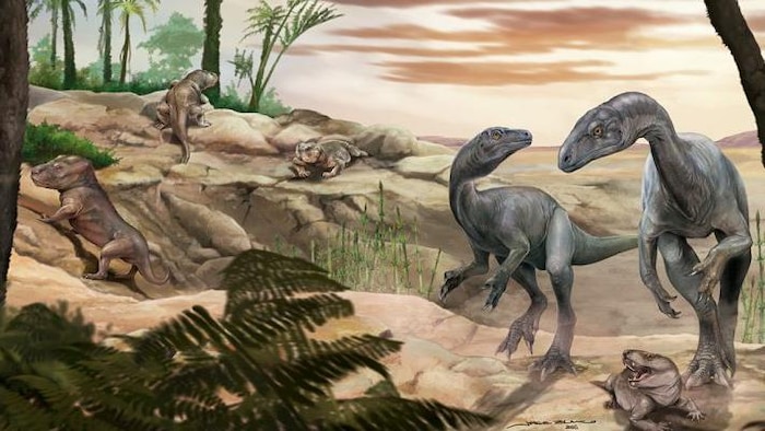 Reconstitution artistique de l'apparence du dinosaure Huayracursor jaguensis. 