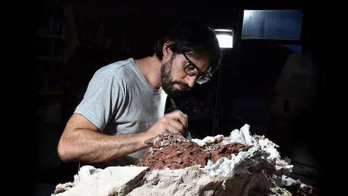 Un chercheur prépare le fossile determination    lad   analyse. 