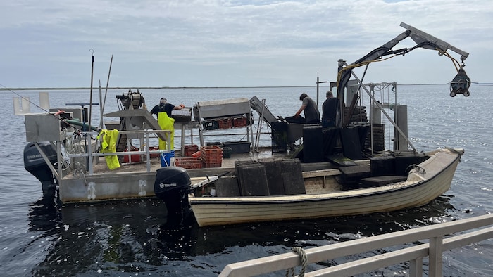 Trois employés travaillent sur un bateau.