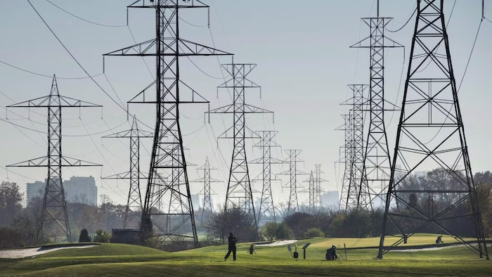 Des poteaux électriques.
