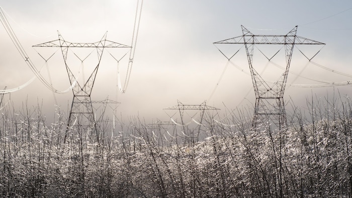 Des pylônes électriques surplombent une forêt dont les arbres sont couverts de givre.