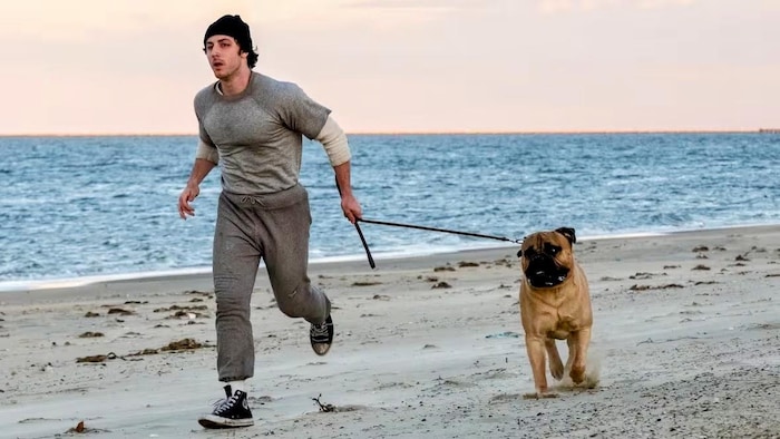 Un homme courant sur la plage avec un chien mastiff.