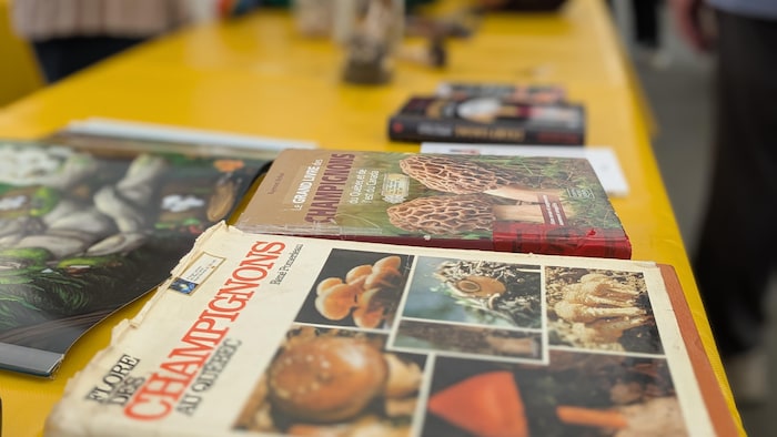 Des livres disposés un à côté de l'autre. Deux des livres portent les titres « Flore des champignons au Québec » et « Le grand livre des champignons du Québec et de l'est du Canada ».