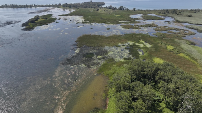 La péninsule de la baie de Weller vue des airs.