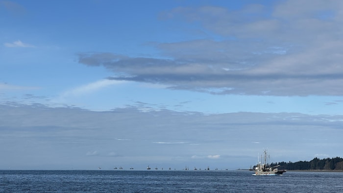 Des bateaux sur l'eau.