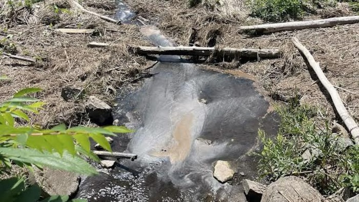 Un ruisseau qui se déverse dans le fleuve.