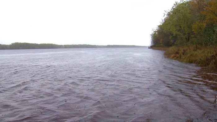 Un cours d'eau et une bande de terre en automne, sous un ciel voilé.