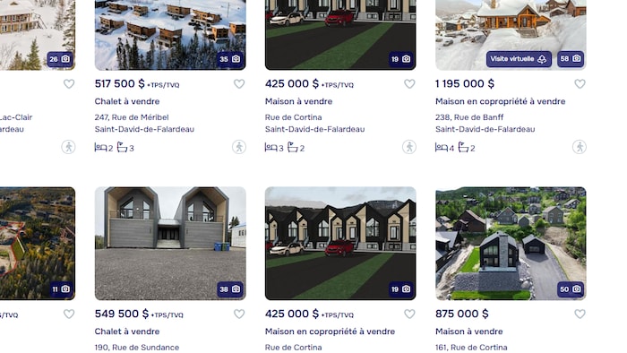 Capture d'écran d'un site d'annonces immobilières.