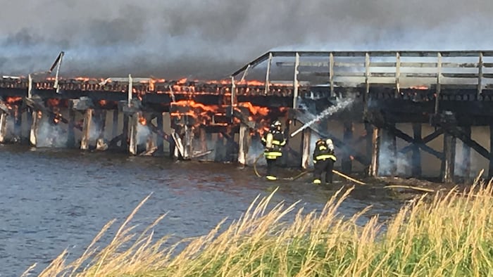 Des pompiers tentent de maîtriser le feu. 