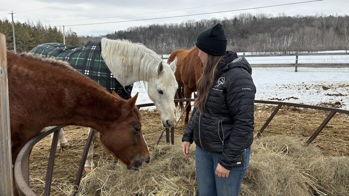 Une femme avec ses cheveux.