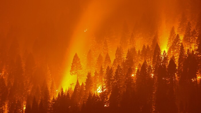 Une forêt en feu la nuit.