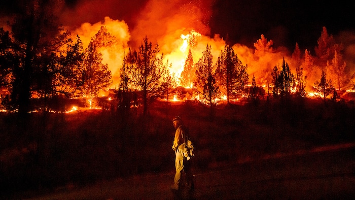 Un pompier surveille une opération de brûlage contrôlé alors qu'il lutte contre un feu de forêt appelé « Bench Fire » à Warm Springs, dans l'Oregon, le 25 juillet 2026.
